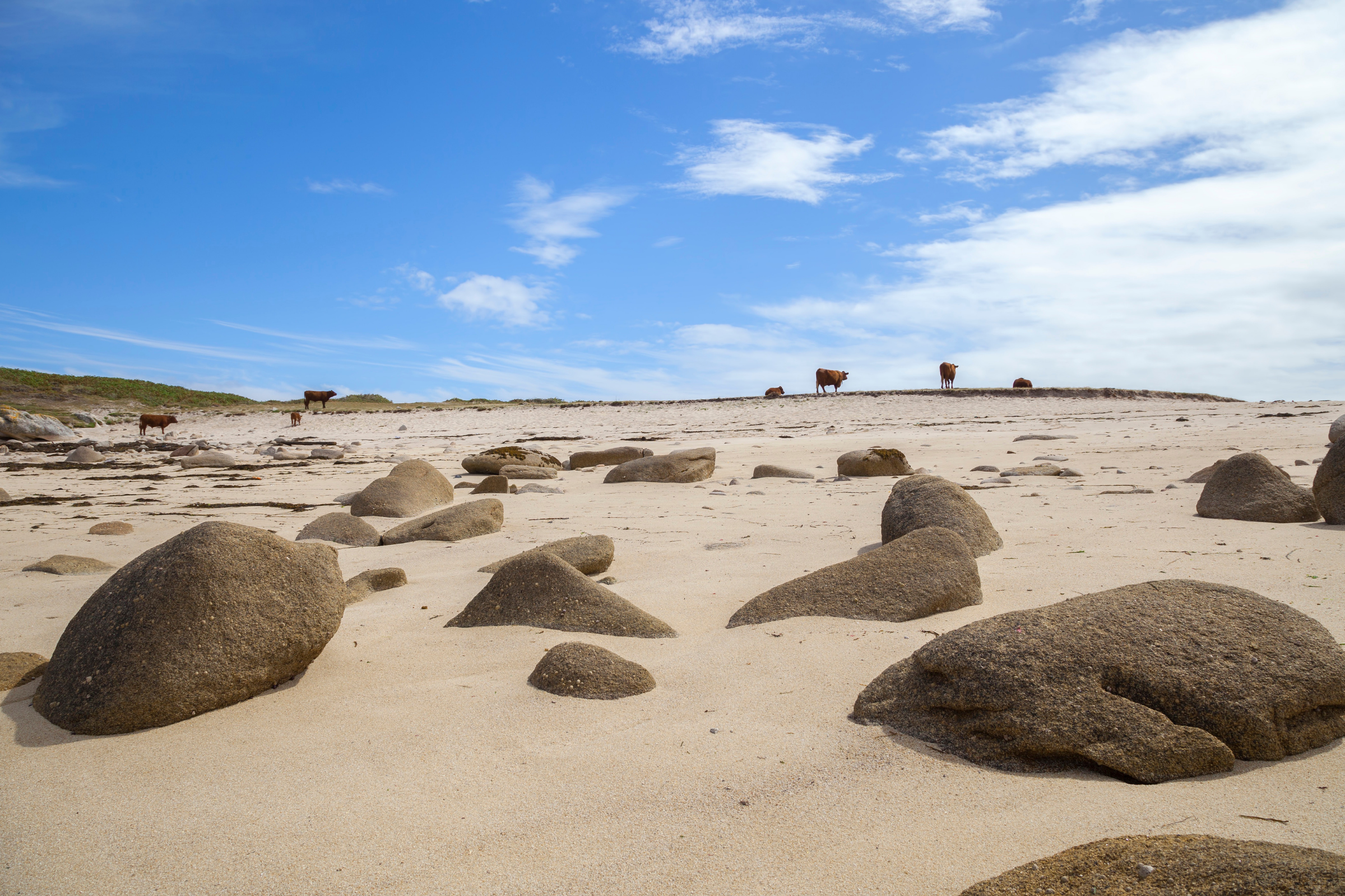 146 st agnes, isles of scilly.webp